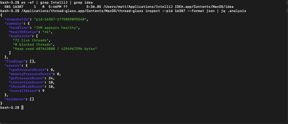 Thread Glass running in terminal